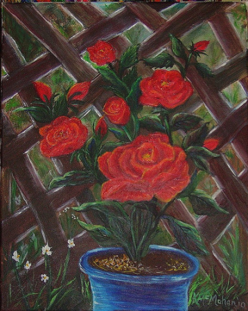 roses in blue pot